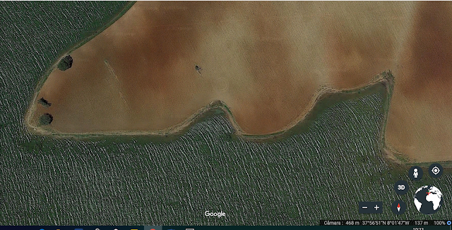 Químicos e morte povoam milhões de hectares do Alentejo