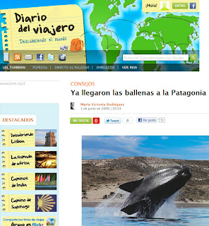 Diario del Viajero - Avistajes de Ballena en Patagonia
