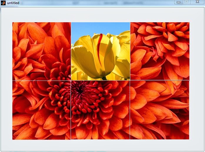 MATLAB IMAGE PROCESSING 2014