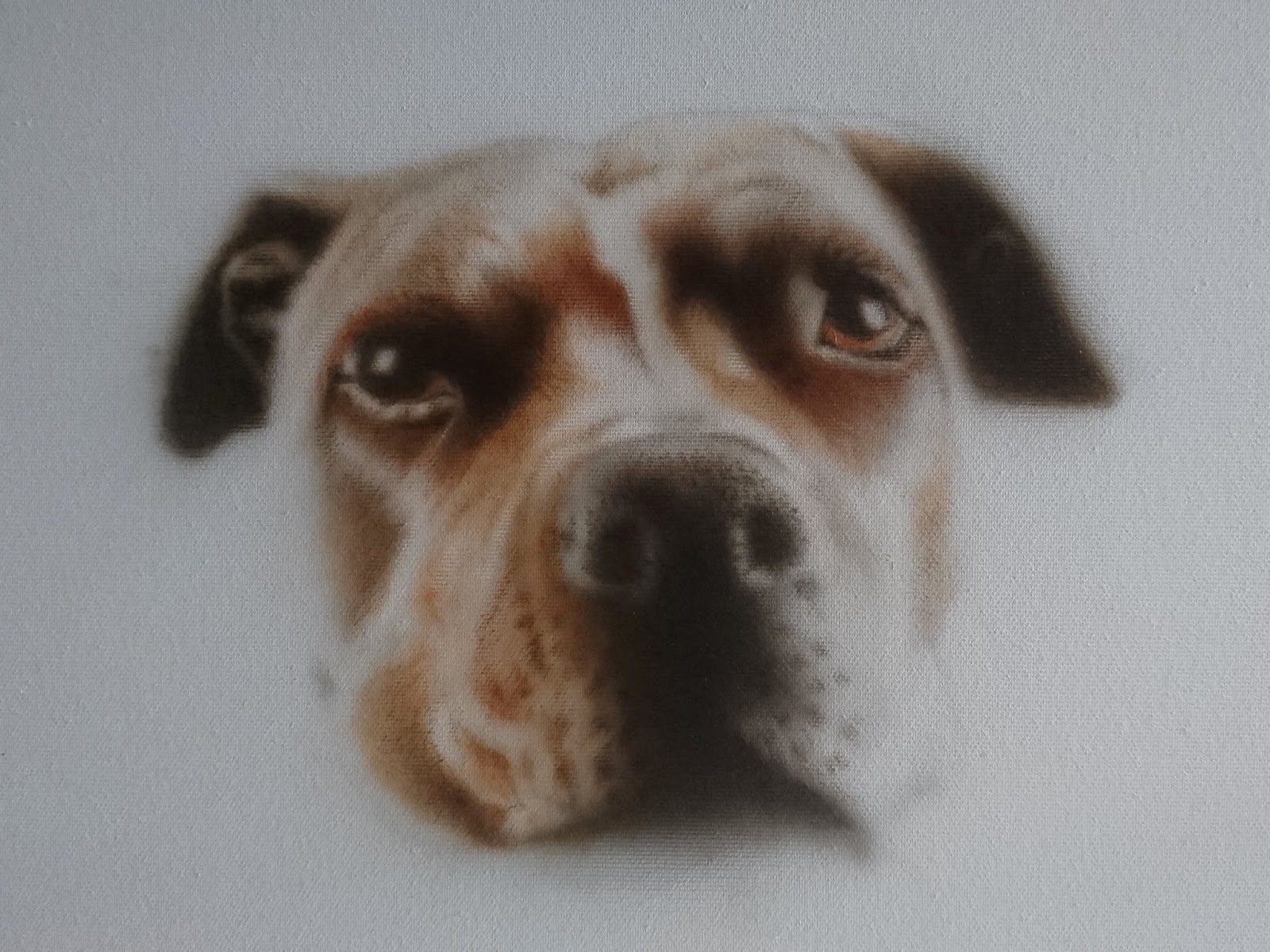 CommuniCats Dog airbrush portrait