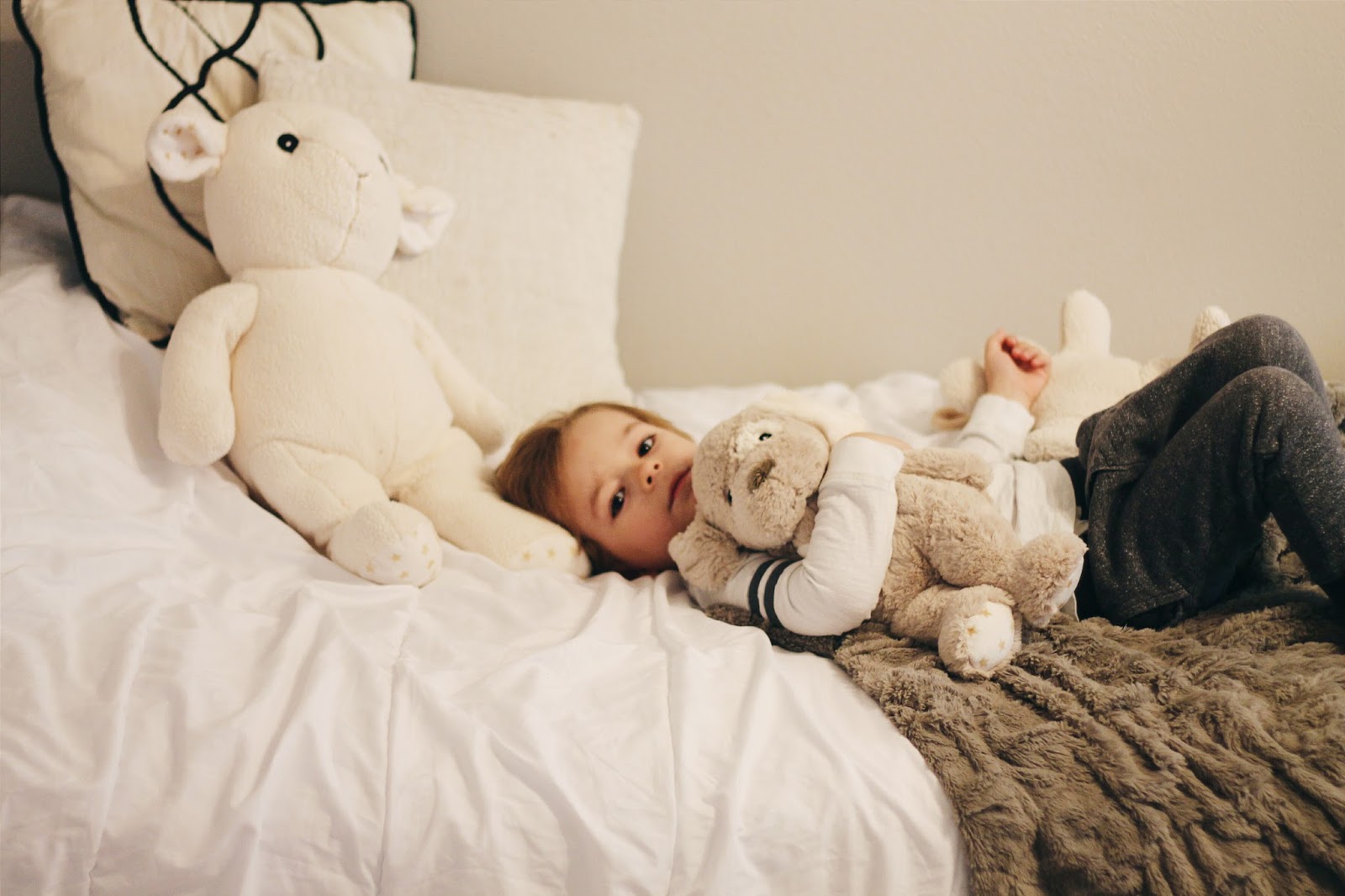 dreamy hugginz puppy