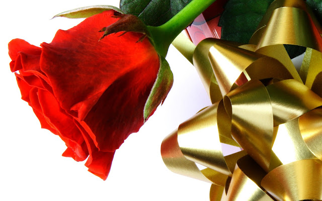 hình ảnh về tình yêu đẹp lãng mạn dễ thương, hoa hồng