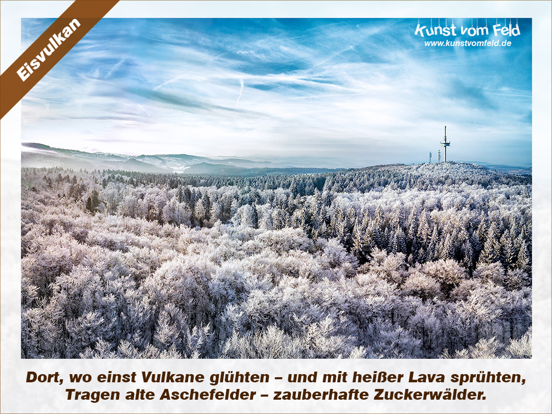 Kunst Kultur Blog Aus Munchen 4 Dr Helga Wass Torial