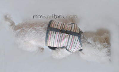 dog vest harness