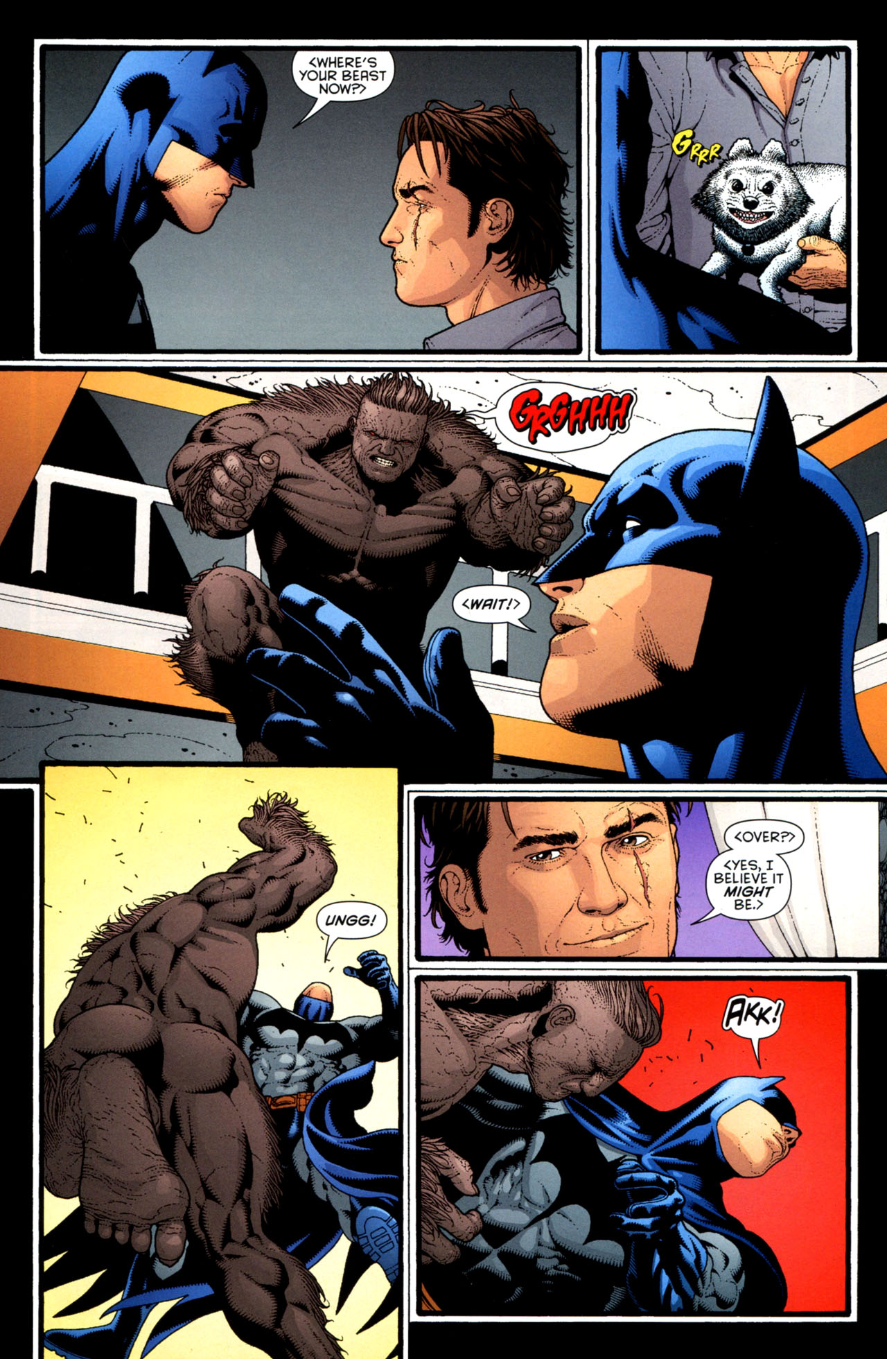 Batman Confidential Issue #35 #35 - English 15