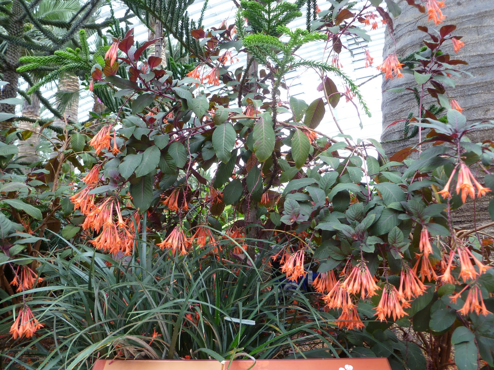 Swinging By Flower Dome, Gardens by the Bay, Singapore
