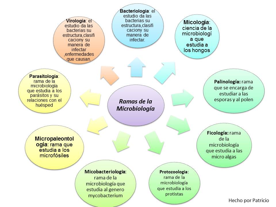 Ramas De La Microbiologia | Patricio Gomez Ruiz y Mauricio Segura Arguelles