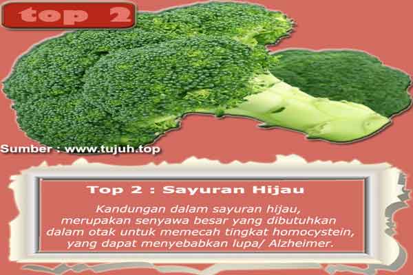 Top 2 Sayur Hijau Top 7 Makanan Nutrisi Terbaik Untuk Otak