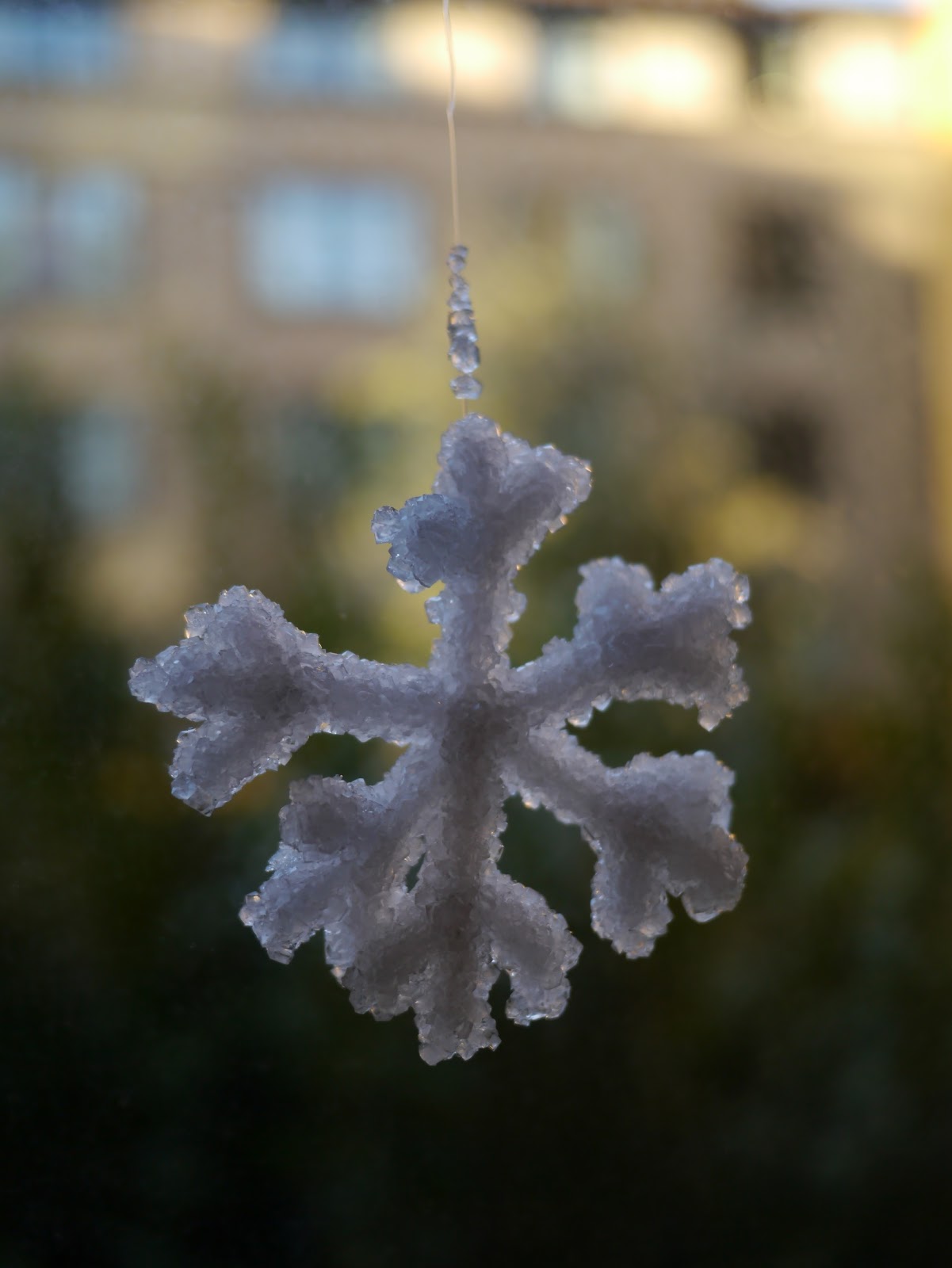 Borax Snowflake Crafts for Kids