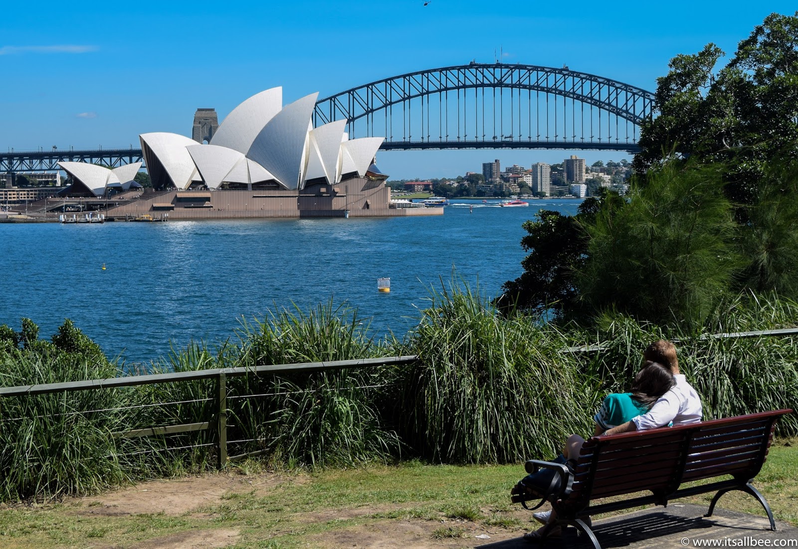 Sydney Botanical Gardens + Views From Mrs Macquarie's Chair