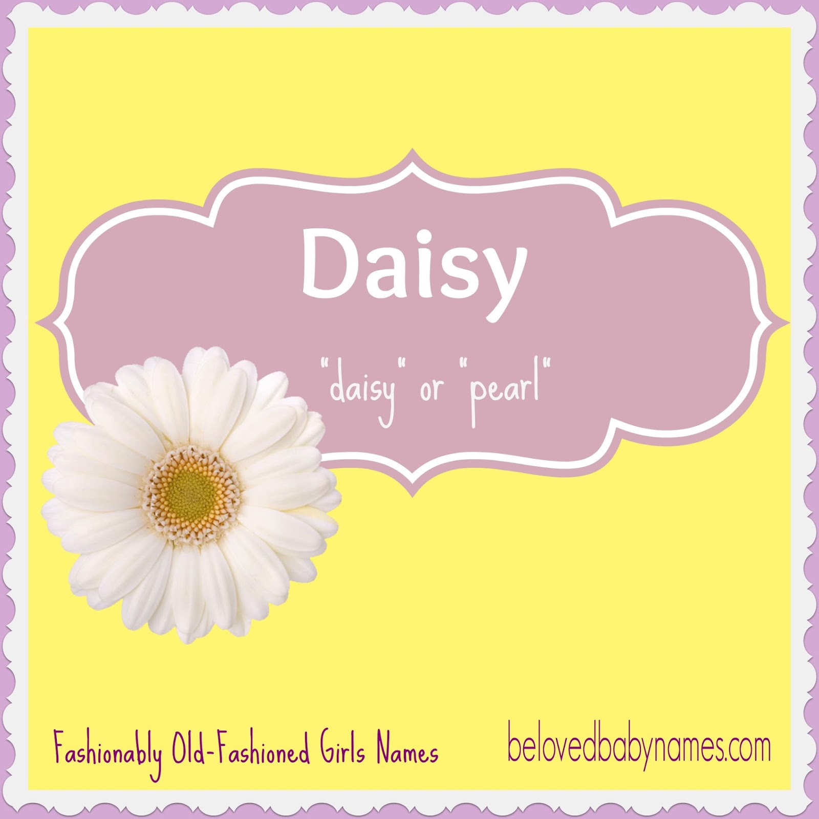 daisy meaning name