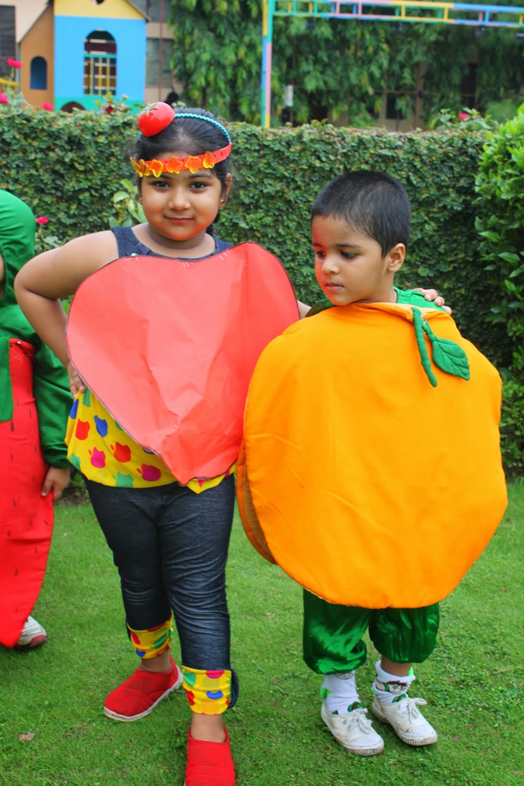 Buy Fancy Steps Realistic Look Coconut Fruit Fancy Dress Costume for School  Competition (3 to 4 Years) Online at Low Prices in India - Amazon.in