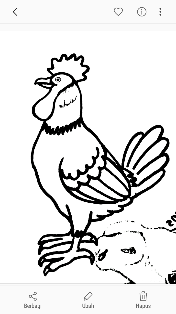 Karikaturku Indonesia Tema Binatang  Peliharaan  Berternak Ayam