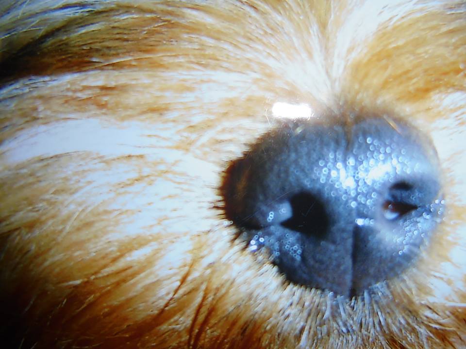 Bienenbienchens Un Perfektes Dinner November 2018