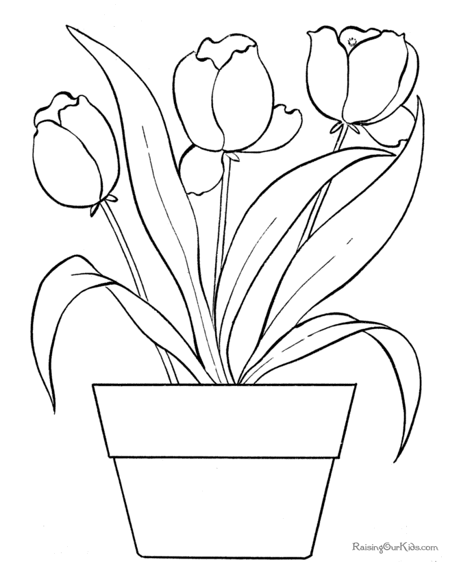 Tulips To Color Coloring Pages for Kids Tulip Coloring Pages for Kids