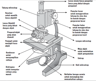 Mikroskop - Dunia Kimia