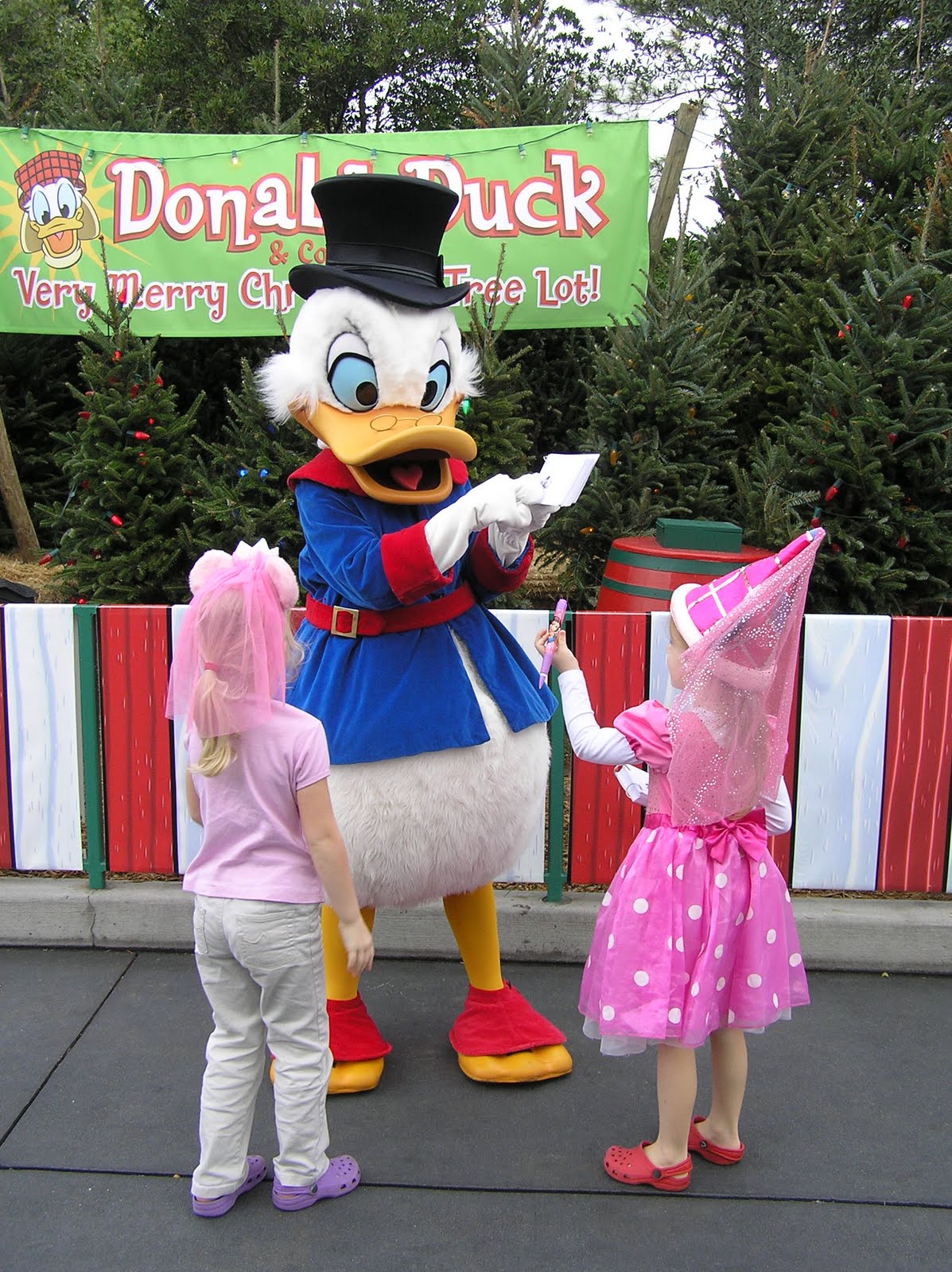 Disney Character Collection Magic Kingdom Characters