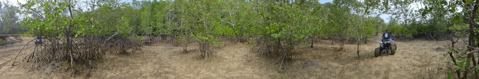 Cherating Firefly Activities: ATV (All Terrain Vehicles) Ride