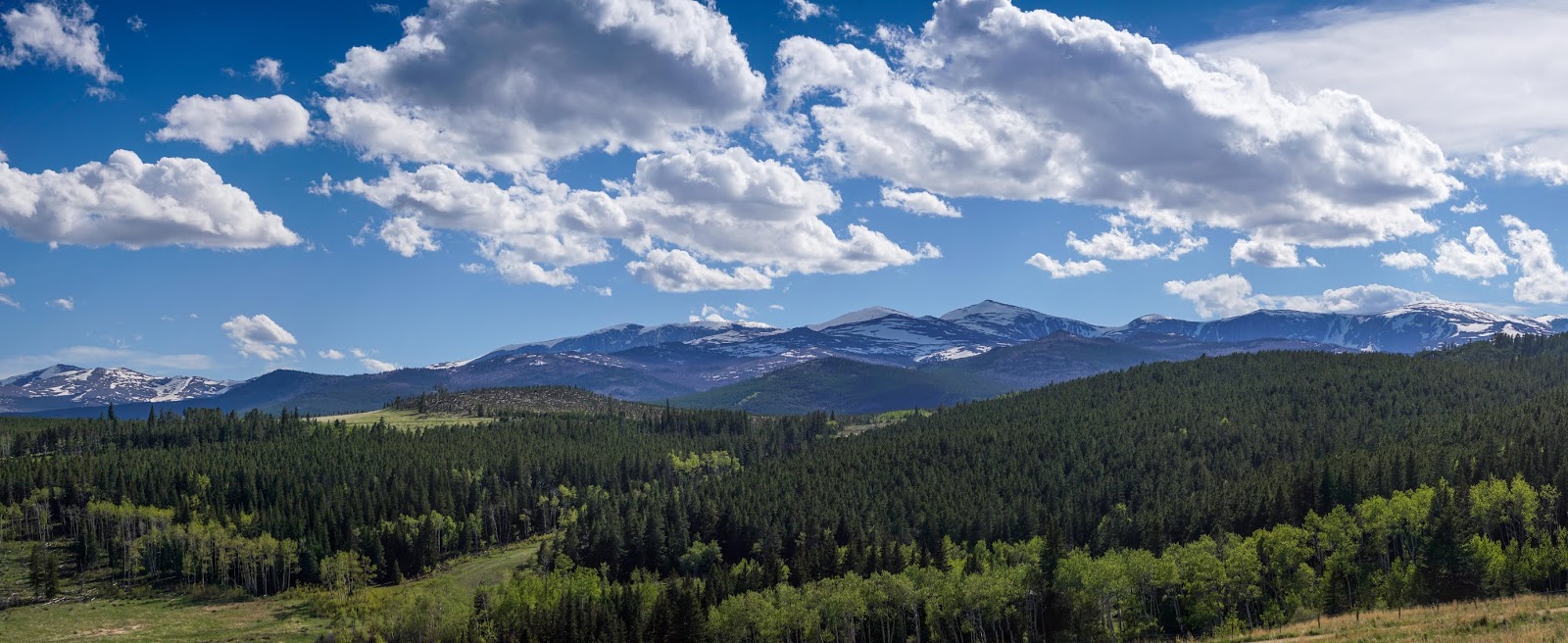 Along for the ride Bighorn Mountains, WY