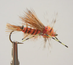 can birds fly in vacuum 6