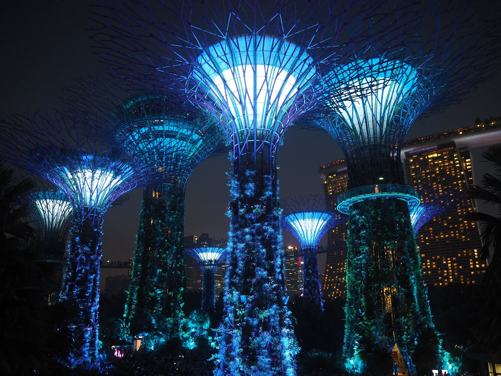 Light Shows in Singapore