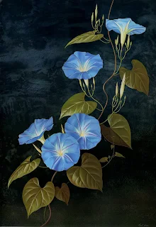 Paul Jones 1921-1997 ~ Australian painter | Flowers of May