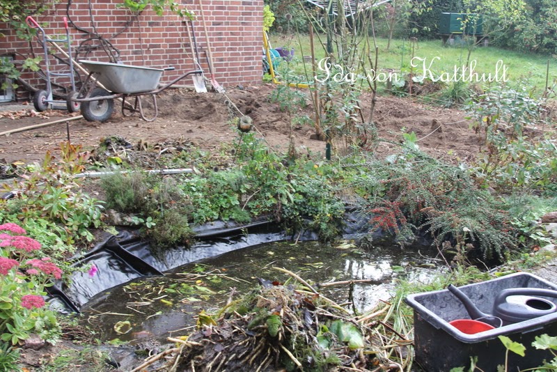 Idas Bloghaus Bericht Von Der Baustelle