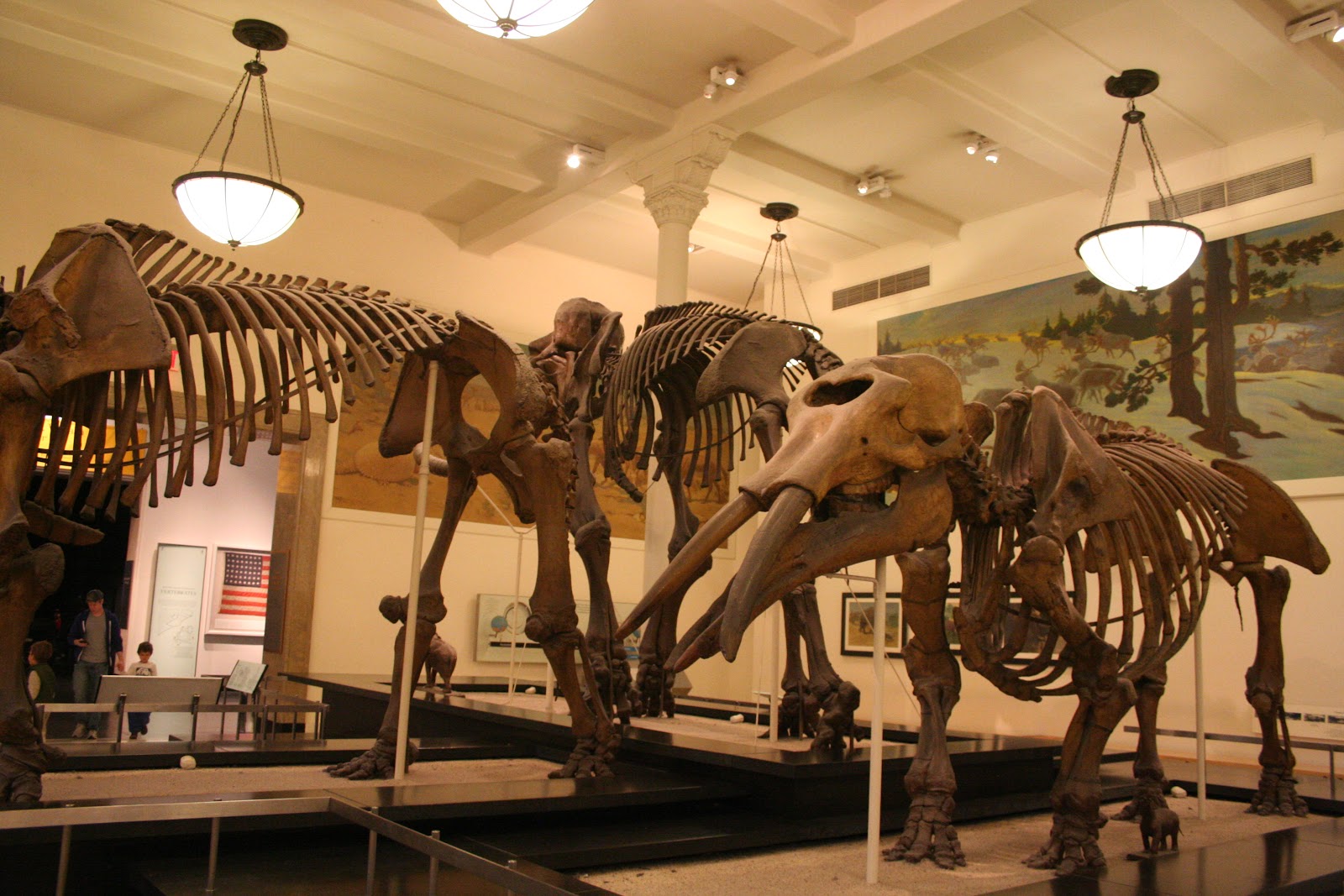 Pine Lake: The Blog: American Museum of Natural History: II: More Photos