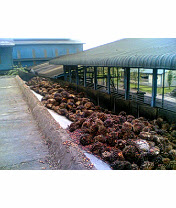 Seputar Pabrik Sawit: Loading Ramp
