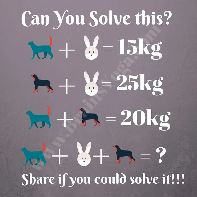 Maths Picture Puzzle