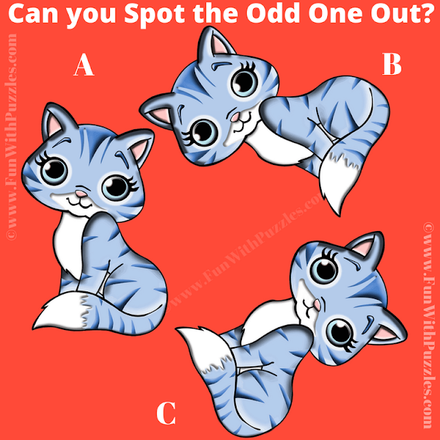 Spot the Odd Cat Out: Picture Puzzle for Teens