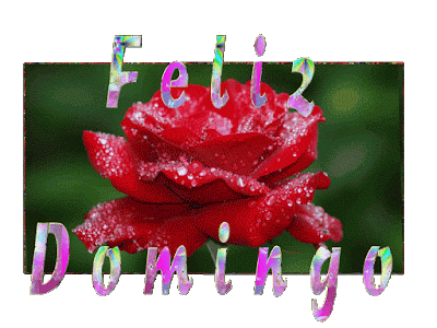 feliz%2Bdomingo.gif