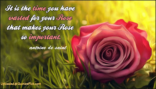 Rose day messages Rose day messages