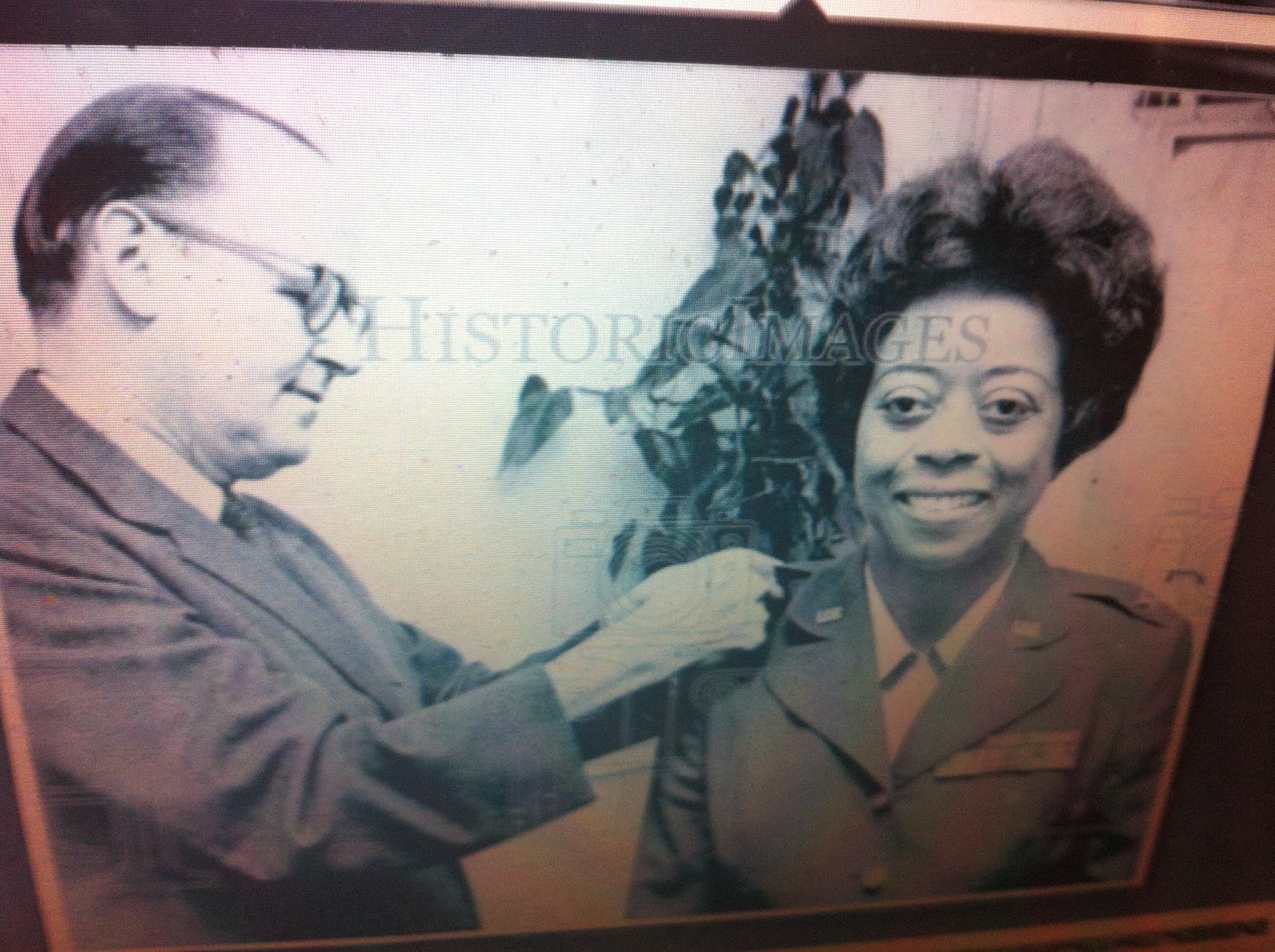 THE BLACK SOCIAL HISTORY:: BLACK SOCIAL HISTORY : AFRICAN AMERICAN ...