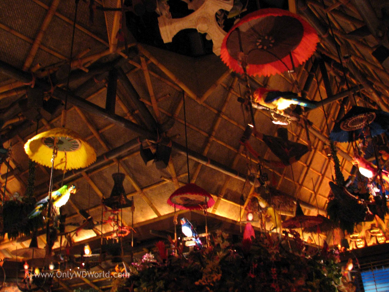 Image Result For Disney Enchanted Tiki Room Image Result For Disney Enchanted Tiki Room