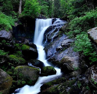 Triberg Waterfalls