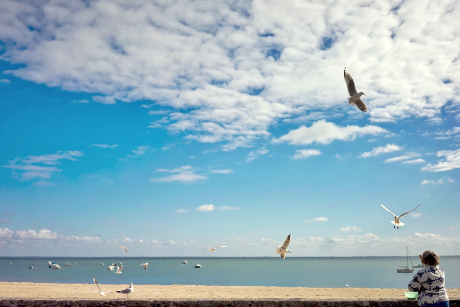 saumseliges °° Meins Meins Meins°°