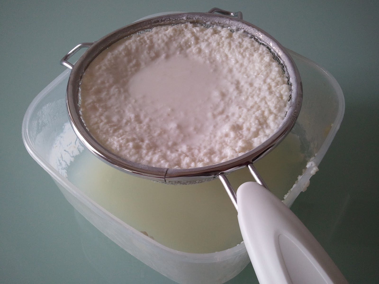 Cucina con Federica: Yogurt con fermenti lattici vivi - Kéfir