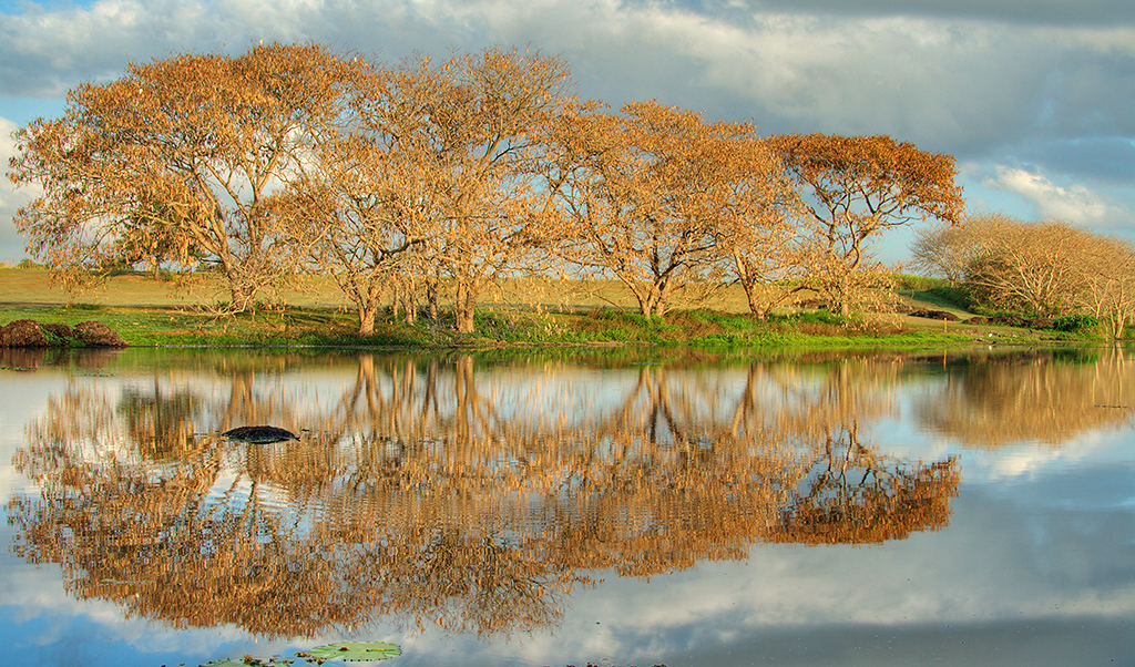 landscape picture meaning landscape picture meaning