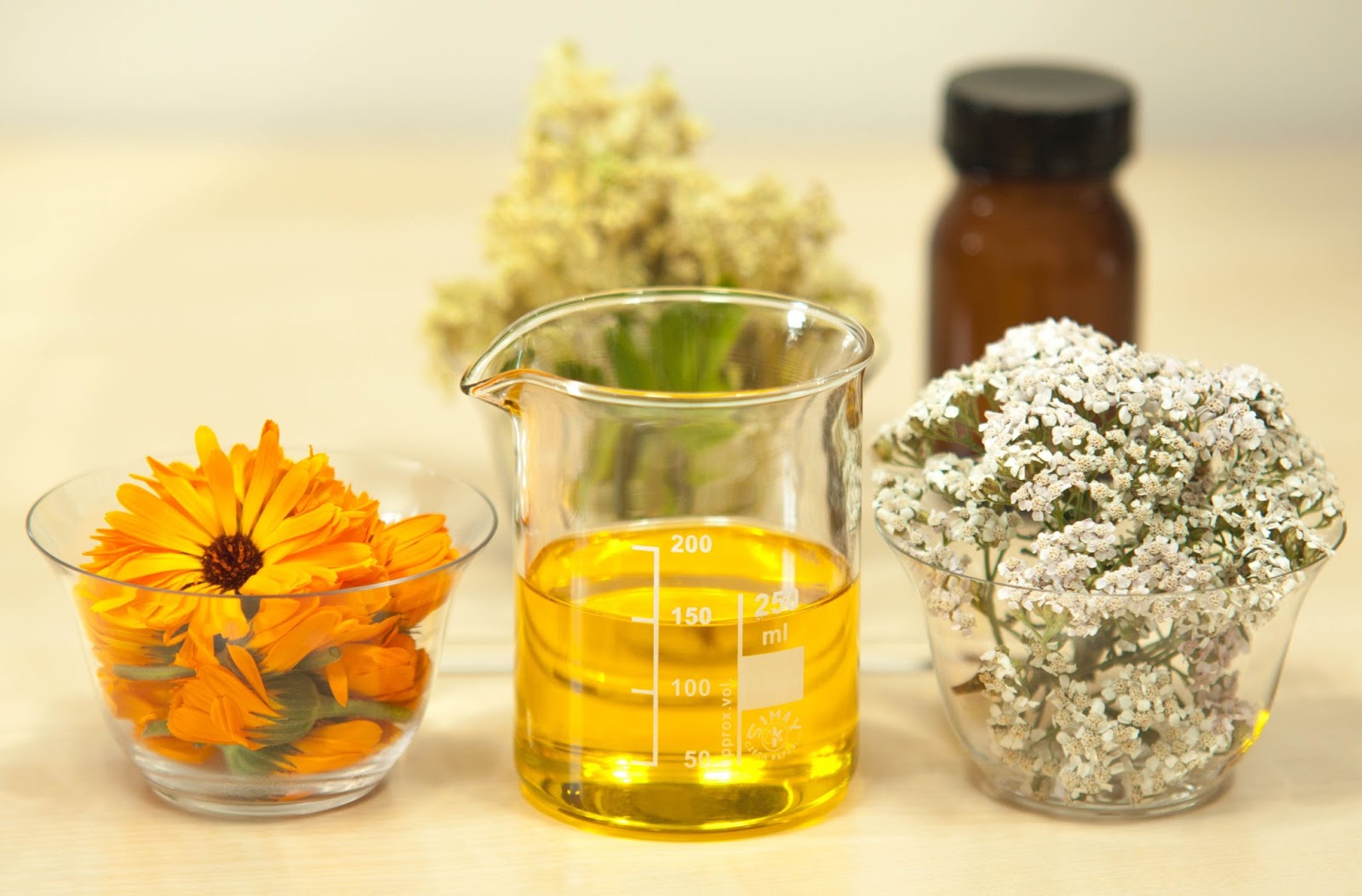 Essential Oil Clary Sage Essential Oil Clary Sage