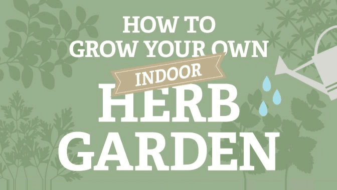 Image: How to Grow Your Own Indoor Herb Garden
