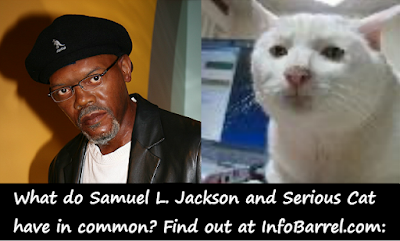 Samuel L. Jackson and Admin avatar on InfoBarrel (Serious Cat aka SRS Cat)