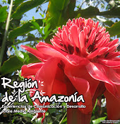 Región de la Amazonía