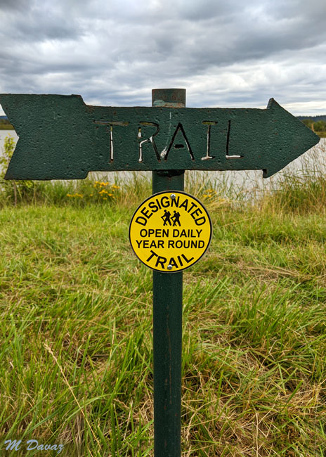 Studio Window Fern Ridge Wildlife Area