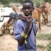 Suggestable ways to End Menance of Fulani Herdsmen in Nigeria