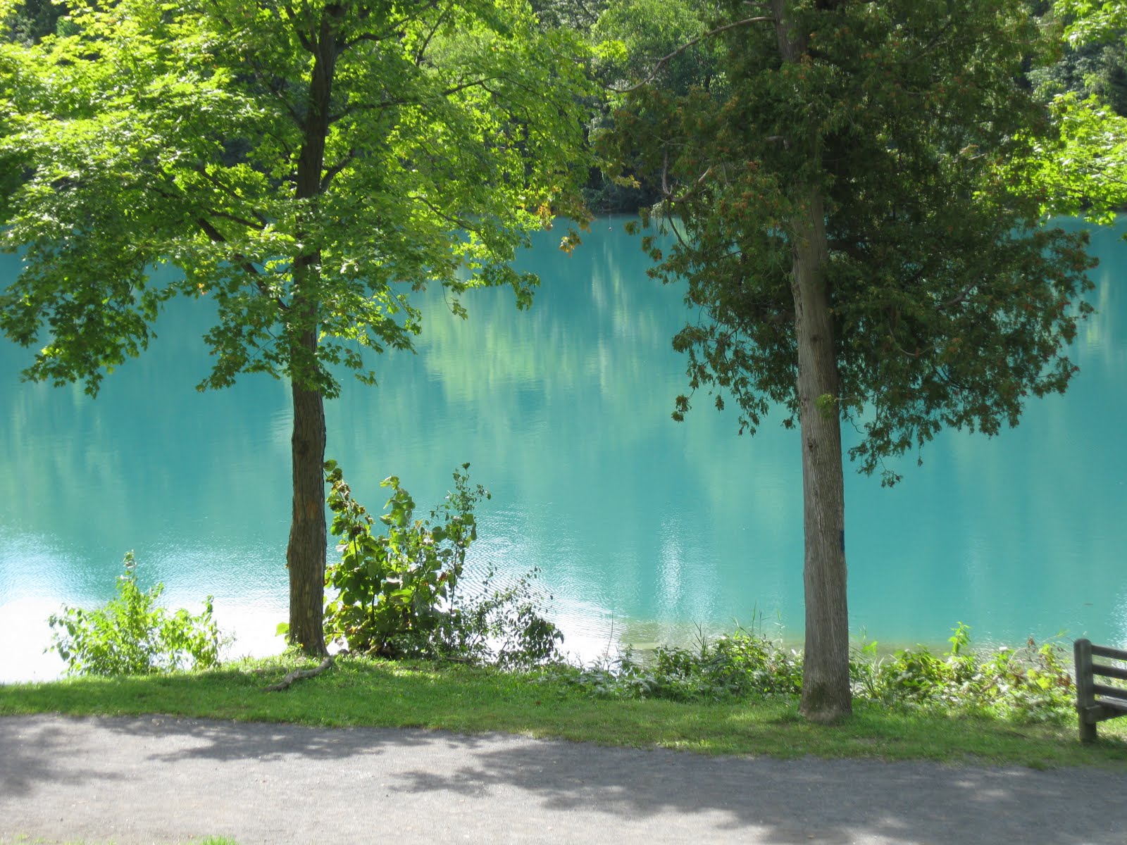 Green Lakes State Park, Central NY Pandora's Box