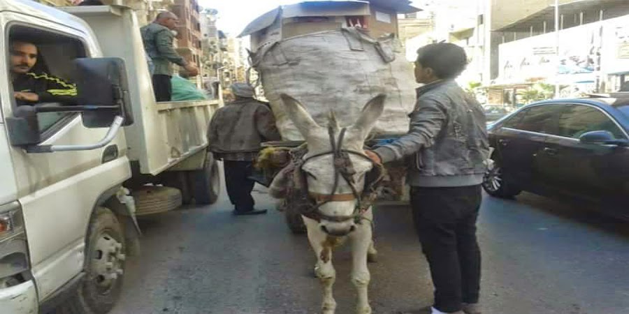   خبر :  المنتزة أول ... يقوم بعمل كمائن ضد نباشي القمامة ويصادر معداتهم
    