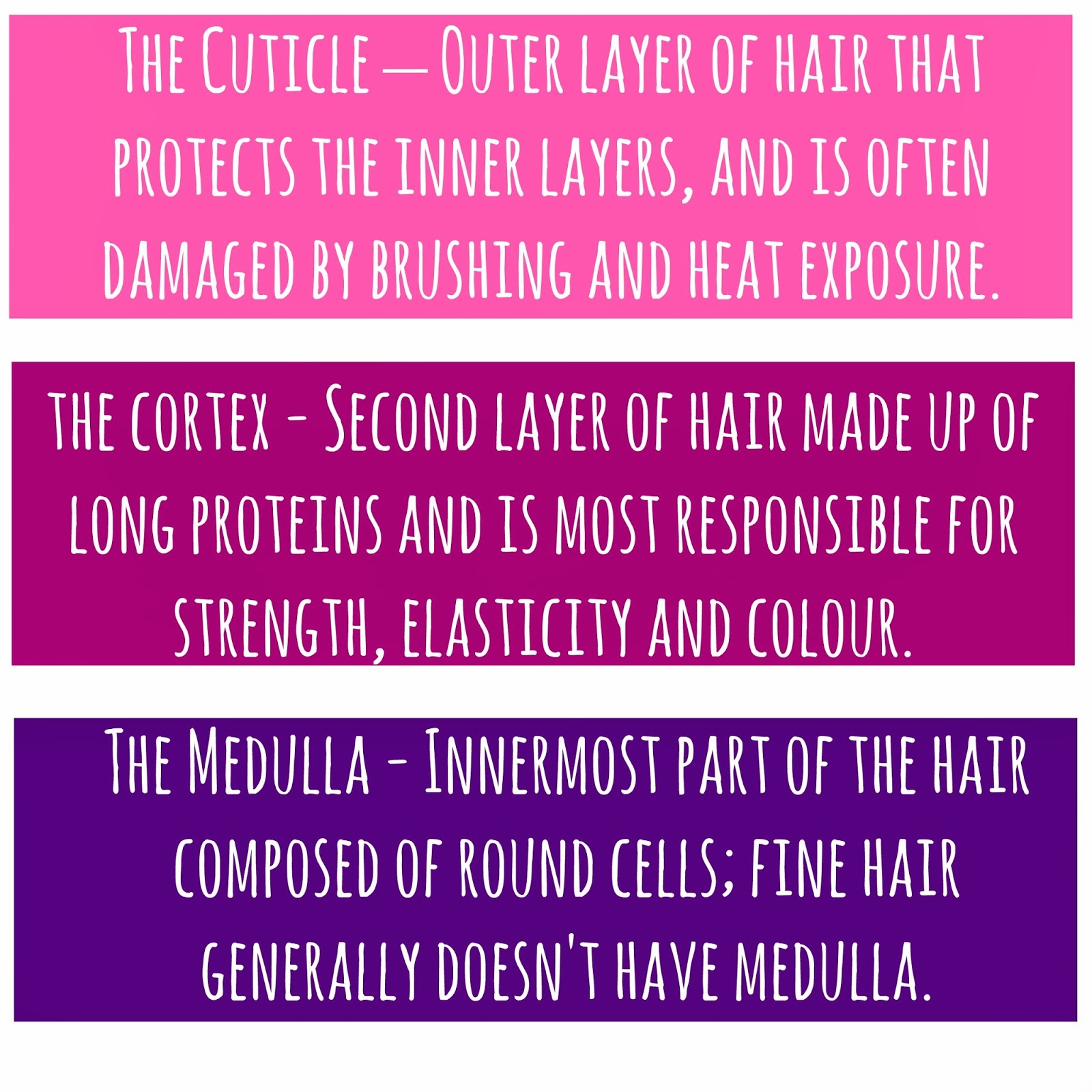 How To Maintain Gorgeous Hair Fun Facts Tips Aloha Kirstie