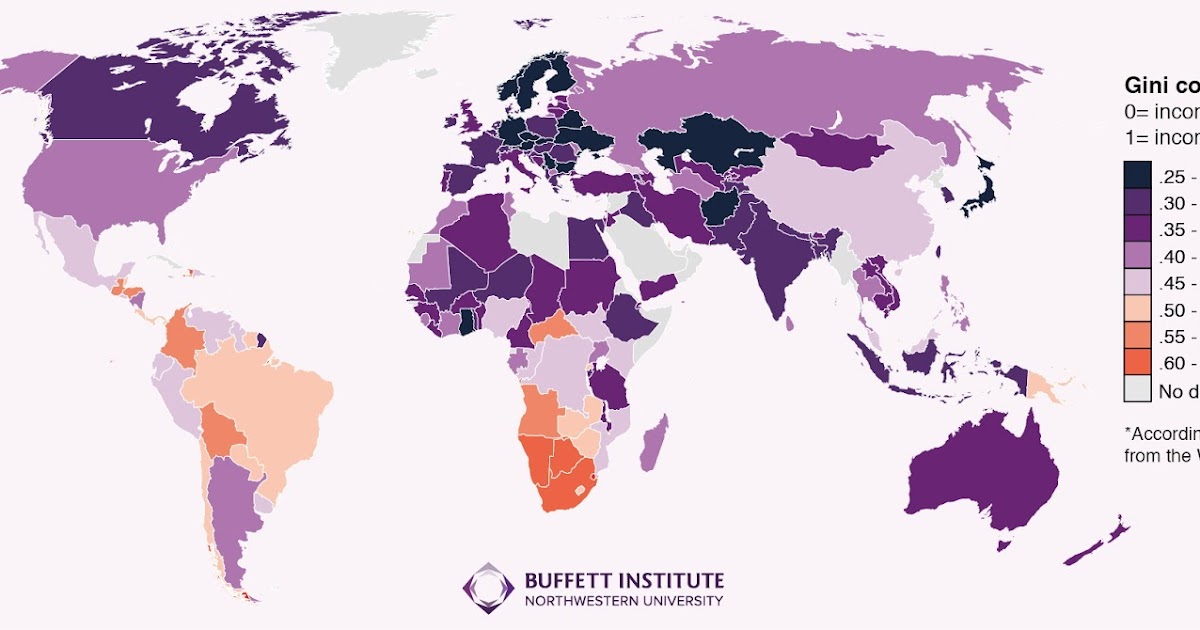 The Gini coefficient inequality by country Vivid Maps