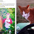 Κτηνίατρος σκότωσε γάτα με βέλος και το ανεβασε στο Facebook!